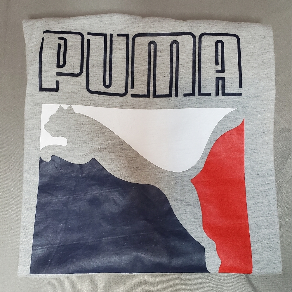 T Shirt Puma Teen Grey (L 14-16)